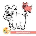 小猪涂色画