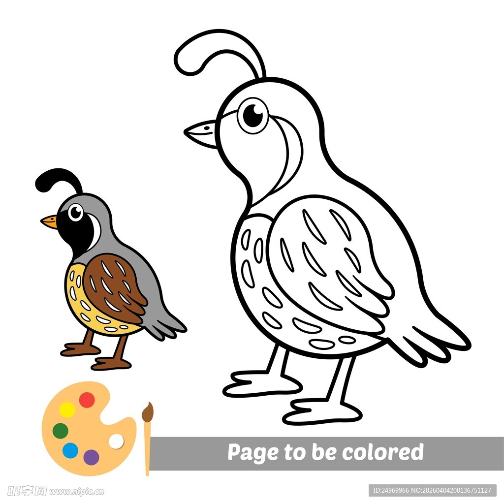 鹌鹑填色图
