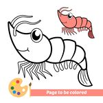 卡通虾绘画素材