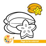 海星果涂色素材