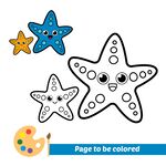 海星涂色页