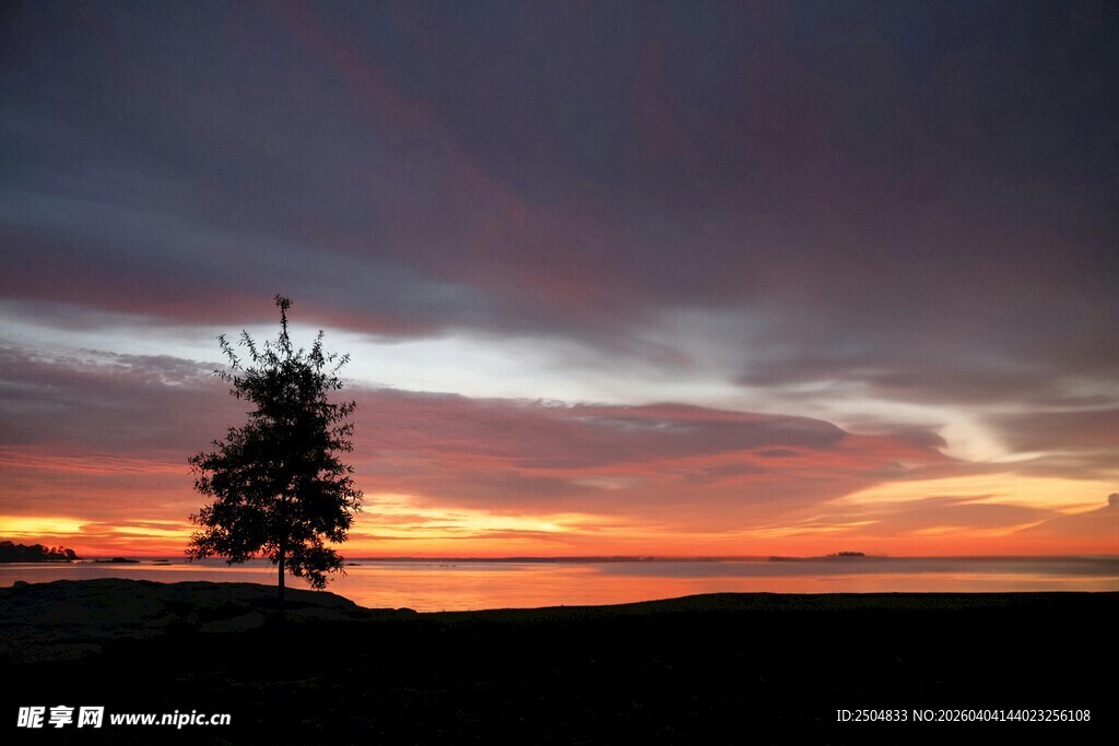 夕阳下的孤树与绚丽天空