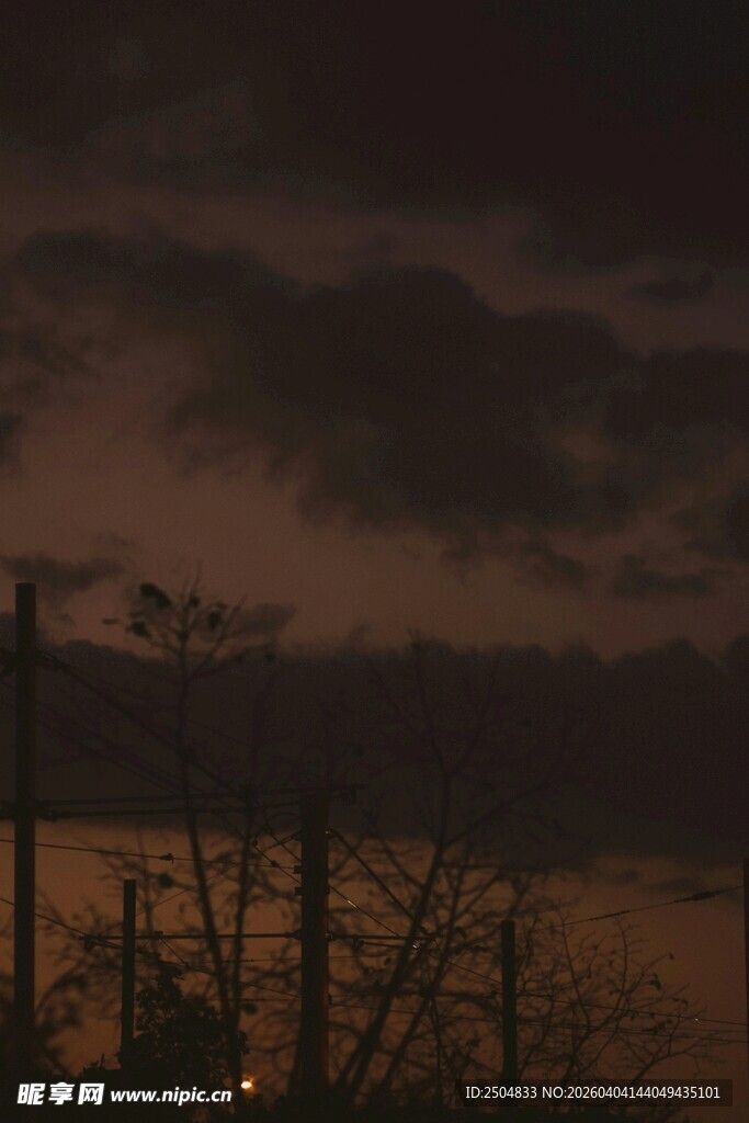 夜幕下的树木与朦胧天空
