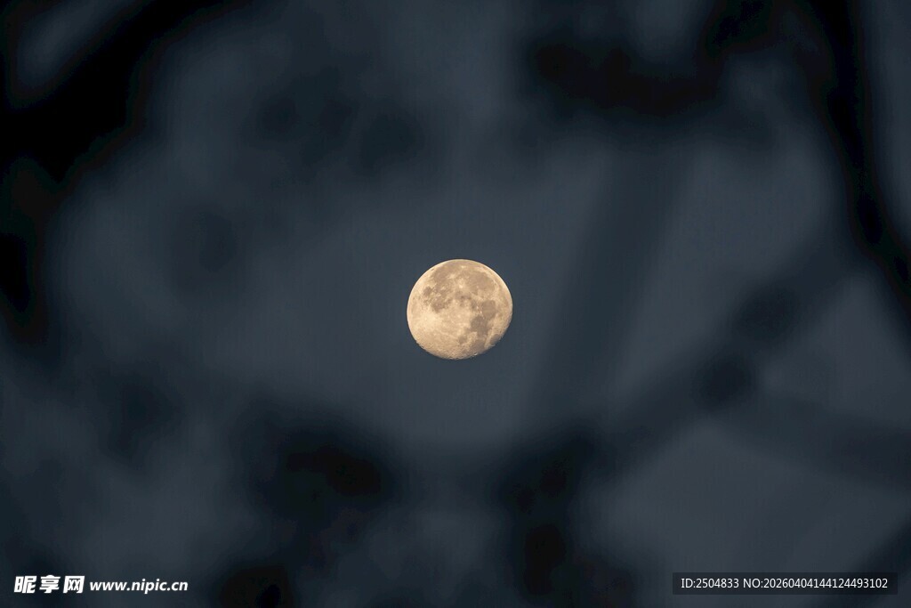 夜空中的明亮圆月