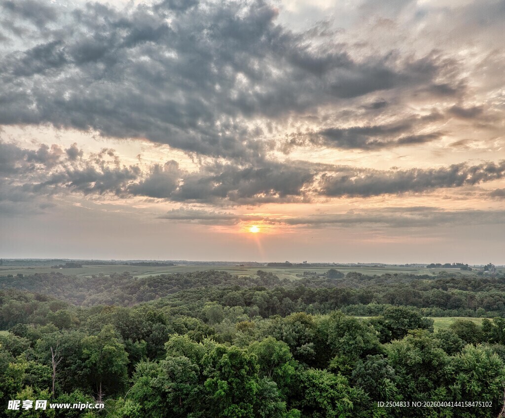 森林之上的壮丽日出景观