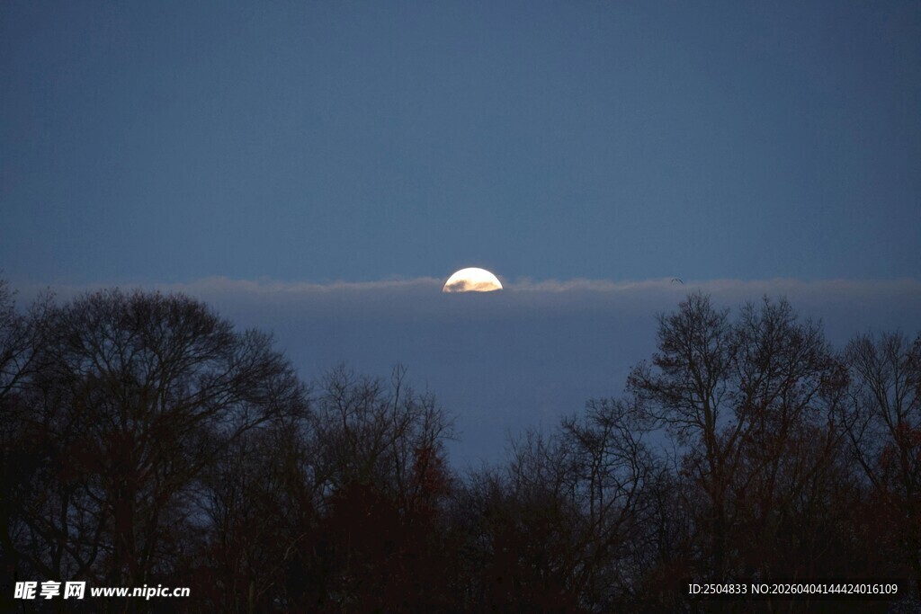 夜幕下初升的皎洁明月