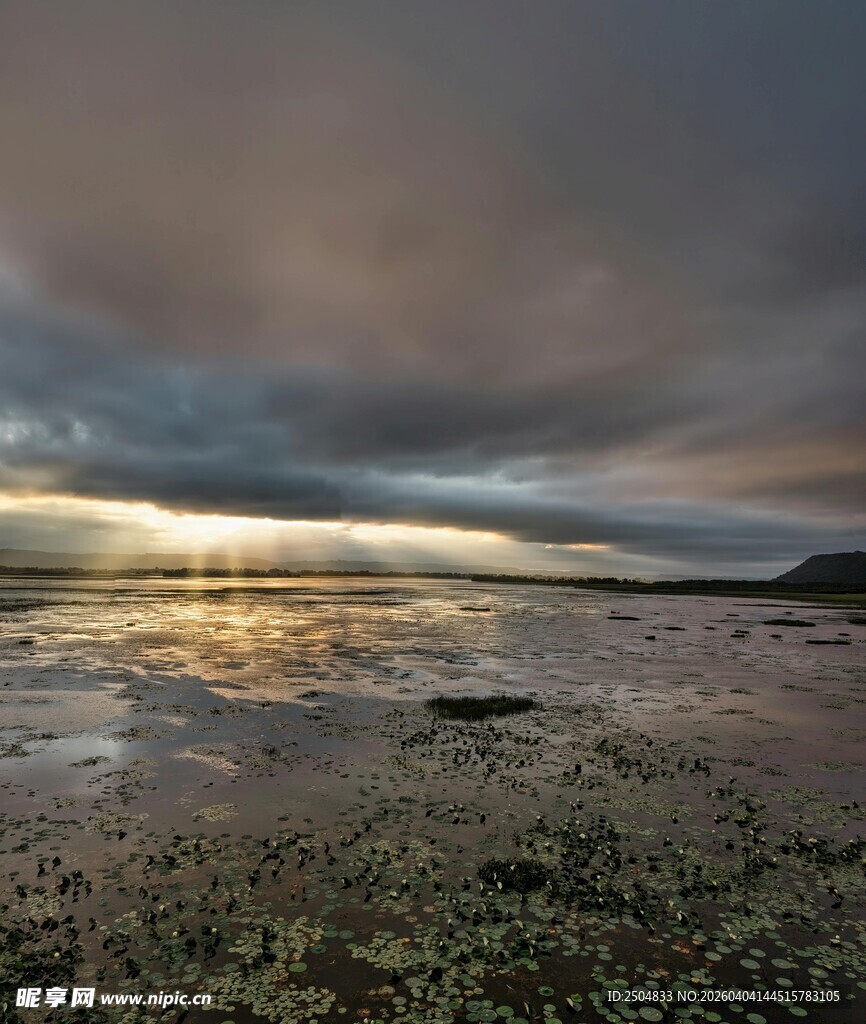 黄昏下的海边滩涂美景