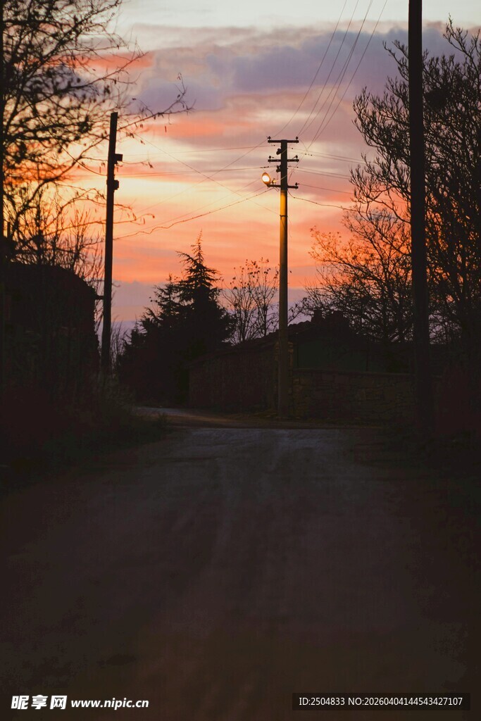 夕阳下路旁的静谧风景