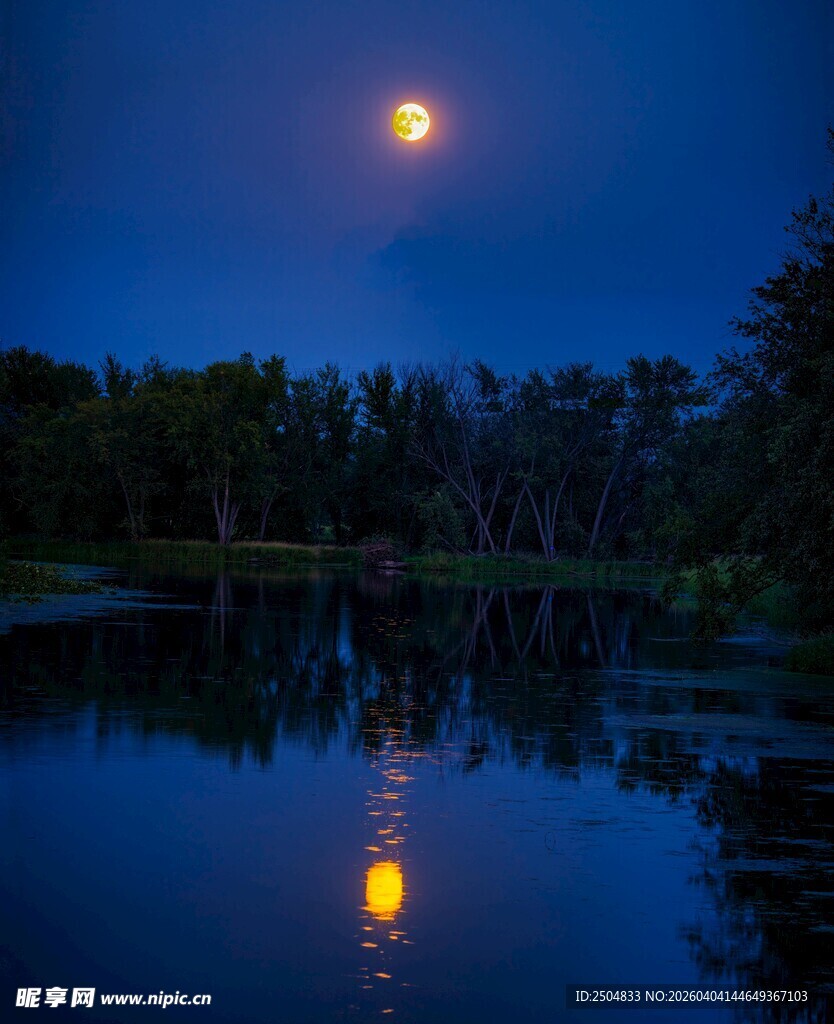 月夜湖景 静谧美好