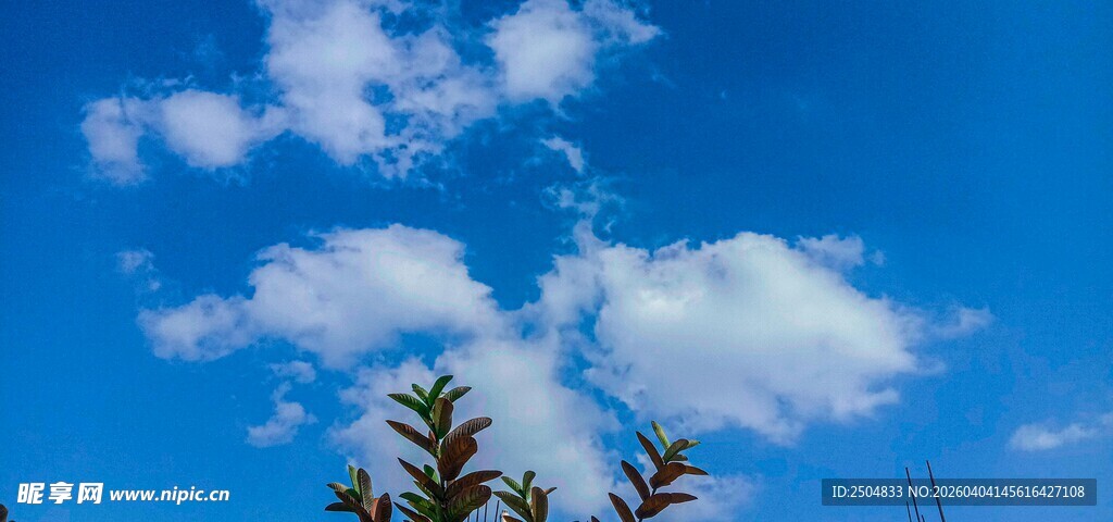 蓝天绿树间的清新景致