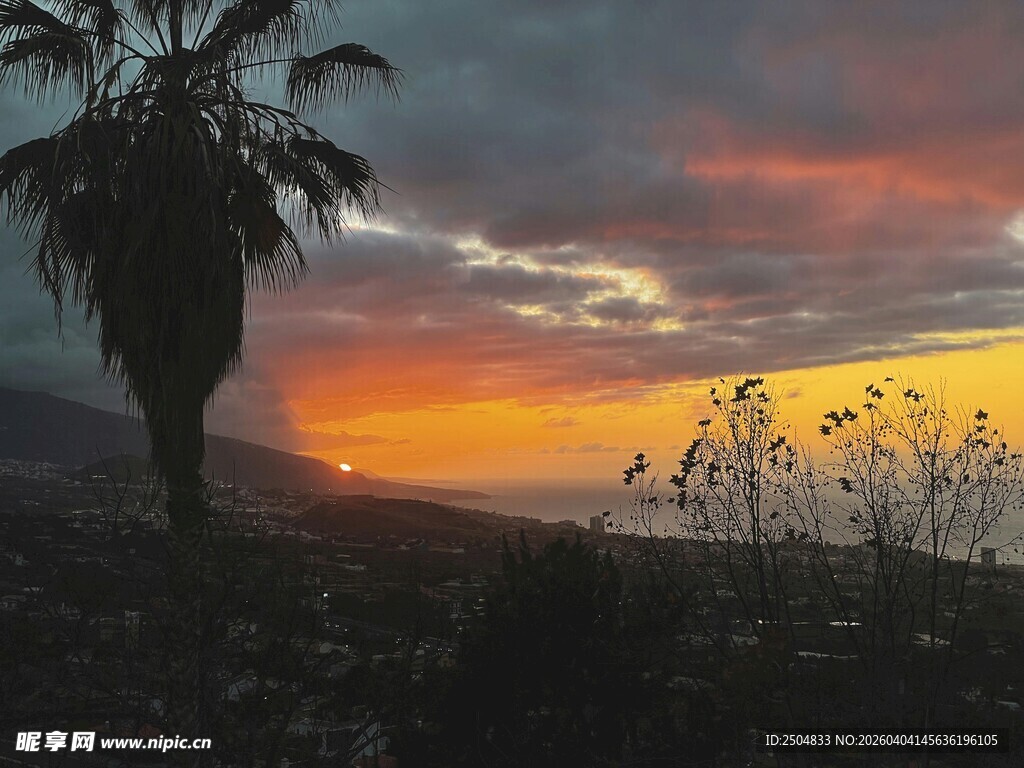 夕阳下的棕榈树与绚丽天空