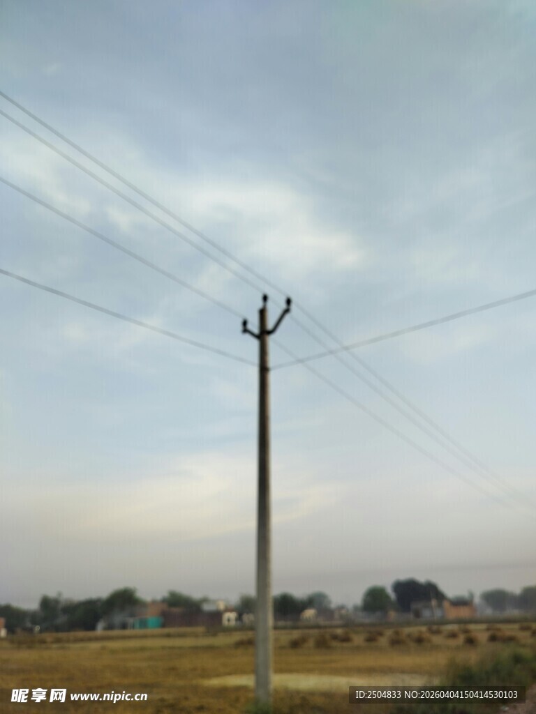田野中的电线杆与电线