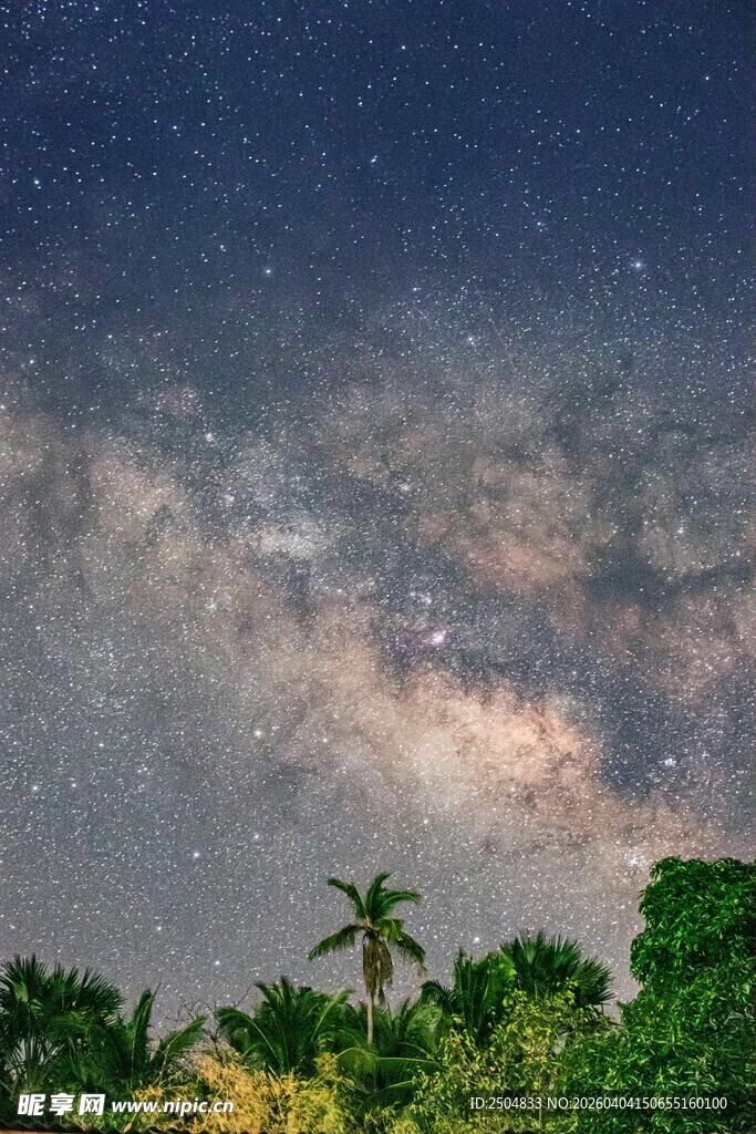 夜空下的繁茂树林与星河