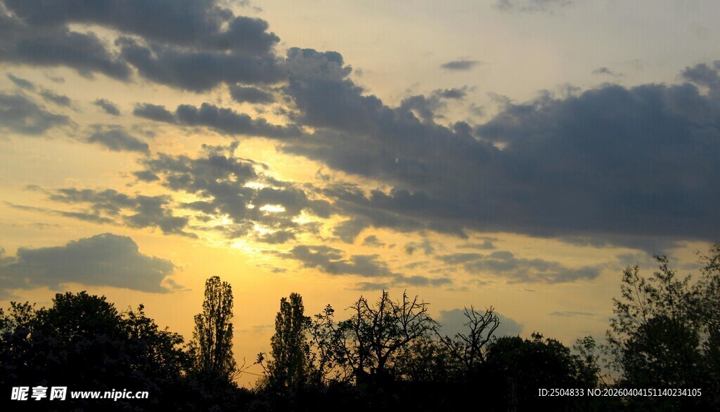 夕阳下的树林与天空美景