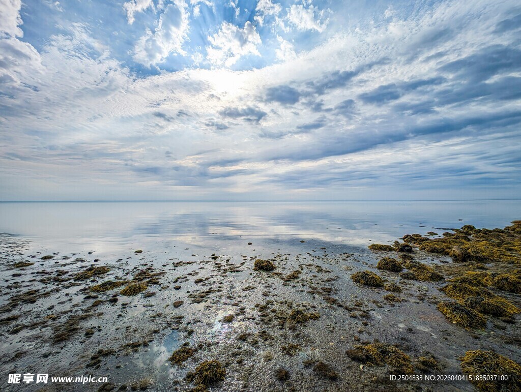 海边滩涂风光