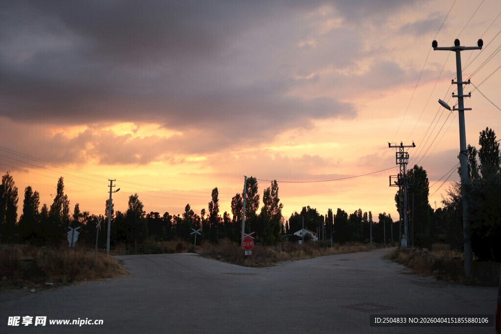 黄昏下的空旷道路与树木
