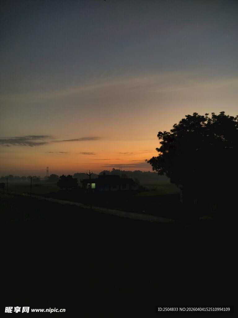 黄昏时分的树影与天际