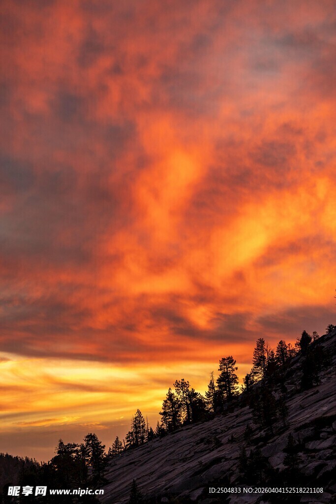 壮丽晚霞下的山林美景