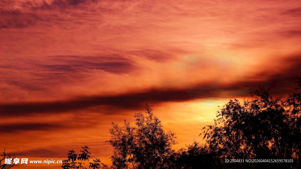 夕阳下的绚烂天空与树木
