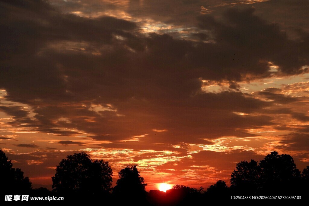 日落时分的云霞与树影
