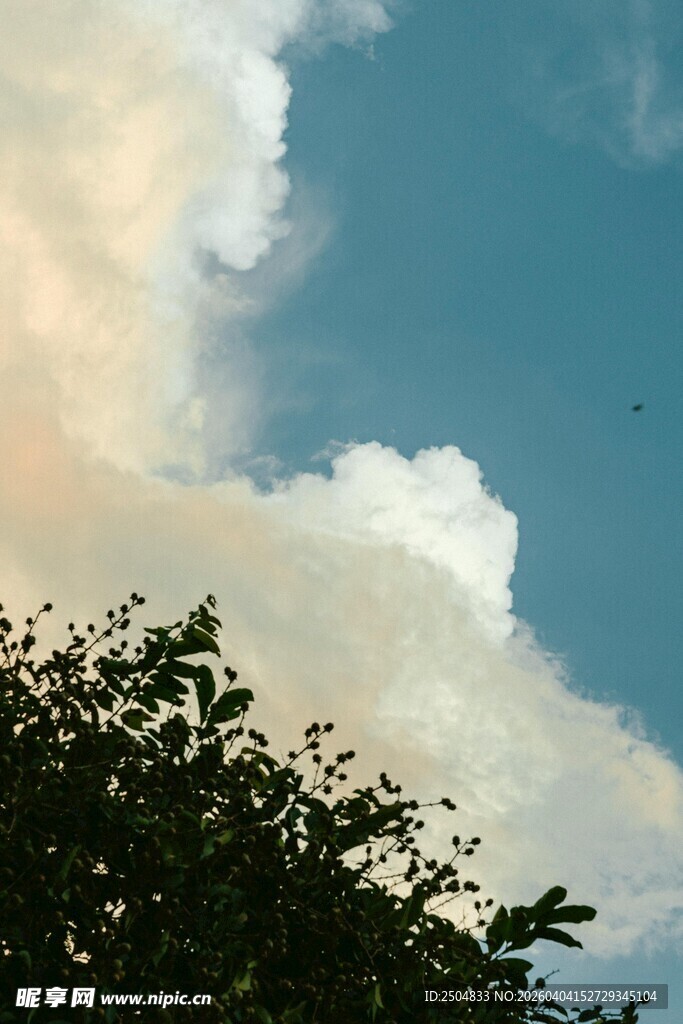 蓝天绿树间的梦幻云彩