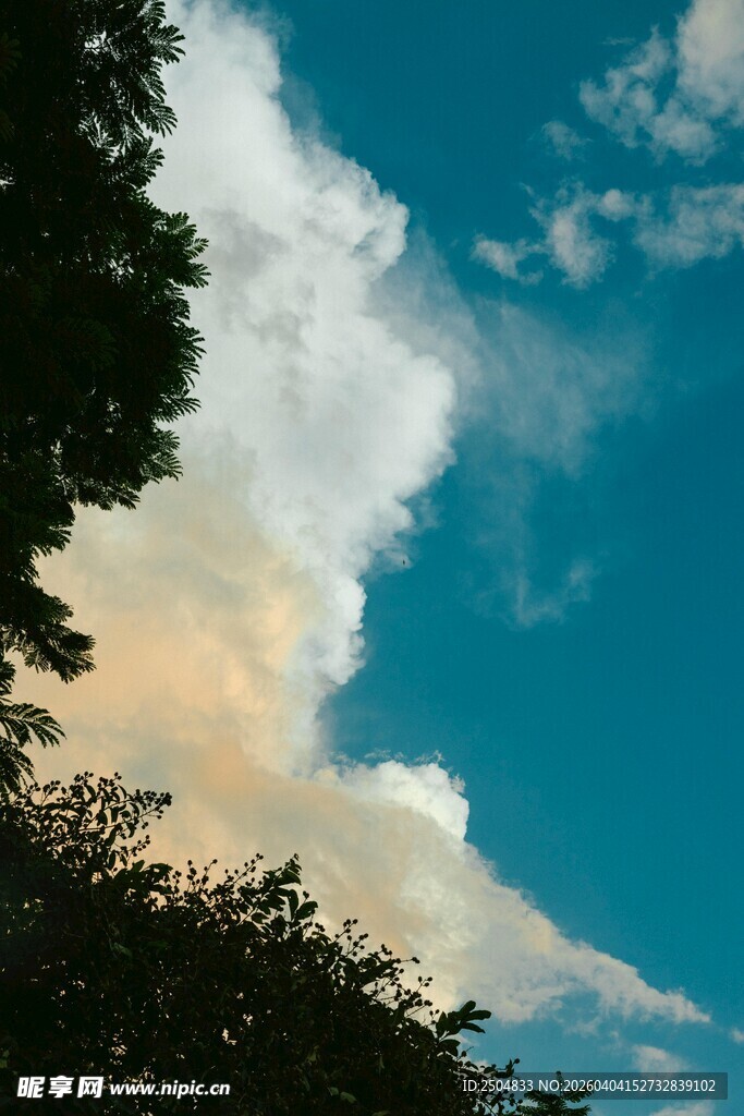 蓝天绿树间的美丽云彩