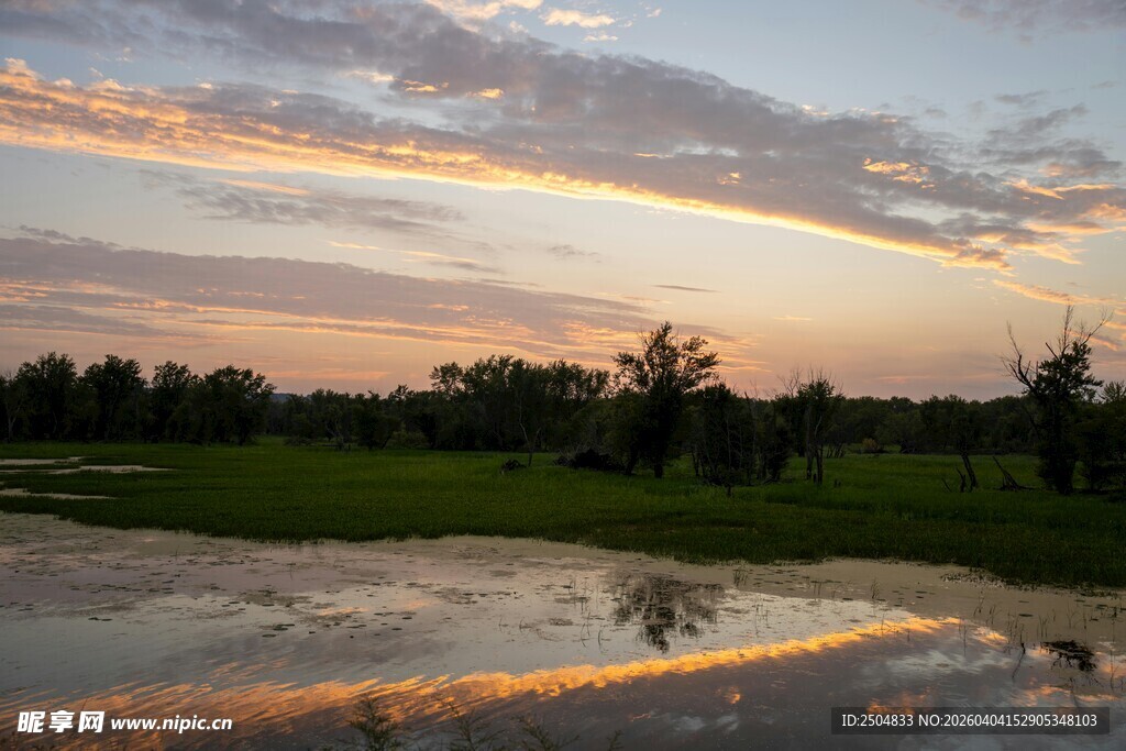 夕阳下的湿地美景
