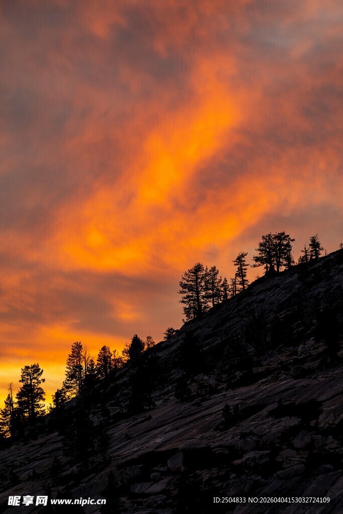 日落时分山巅树木与霞光