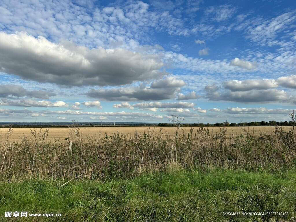 广阔田野与蓝天白云美景
