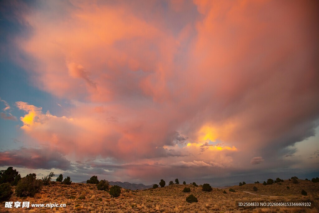 壮丽晚霞下的旷野风光