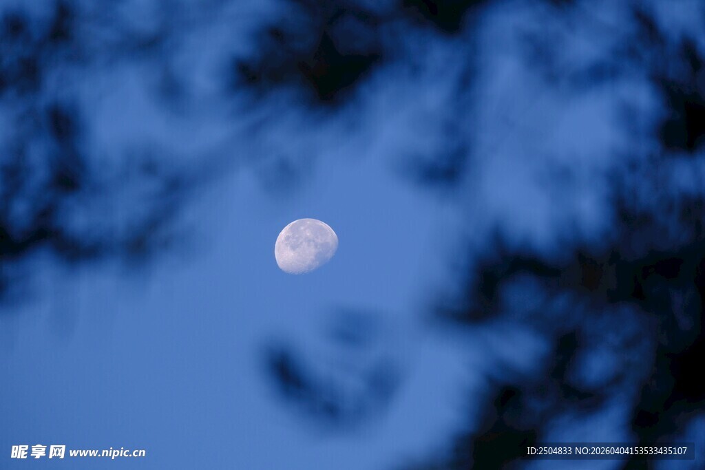 夜幕中朦胧的月亮