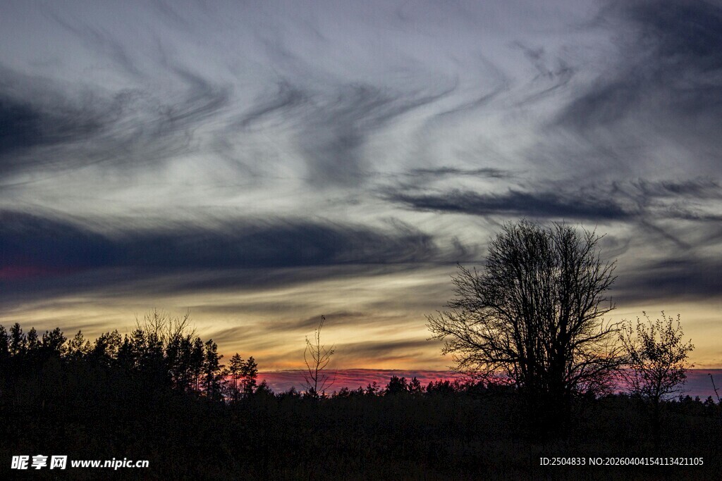黄昏时分的天空与孤树