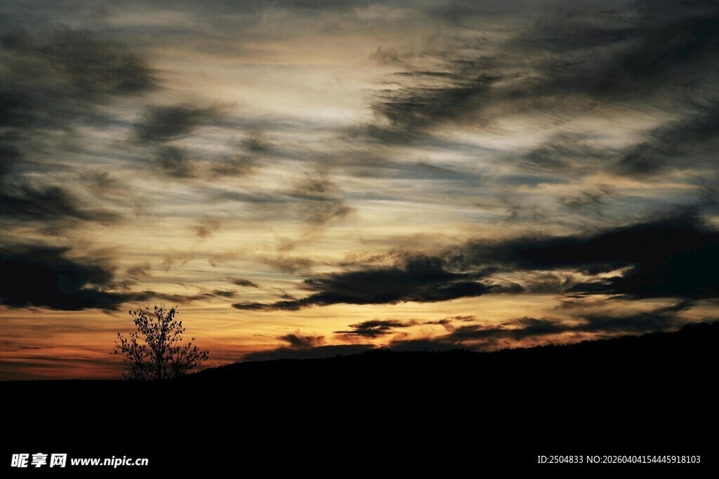 黄昏时分的天空与孤树