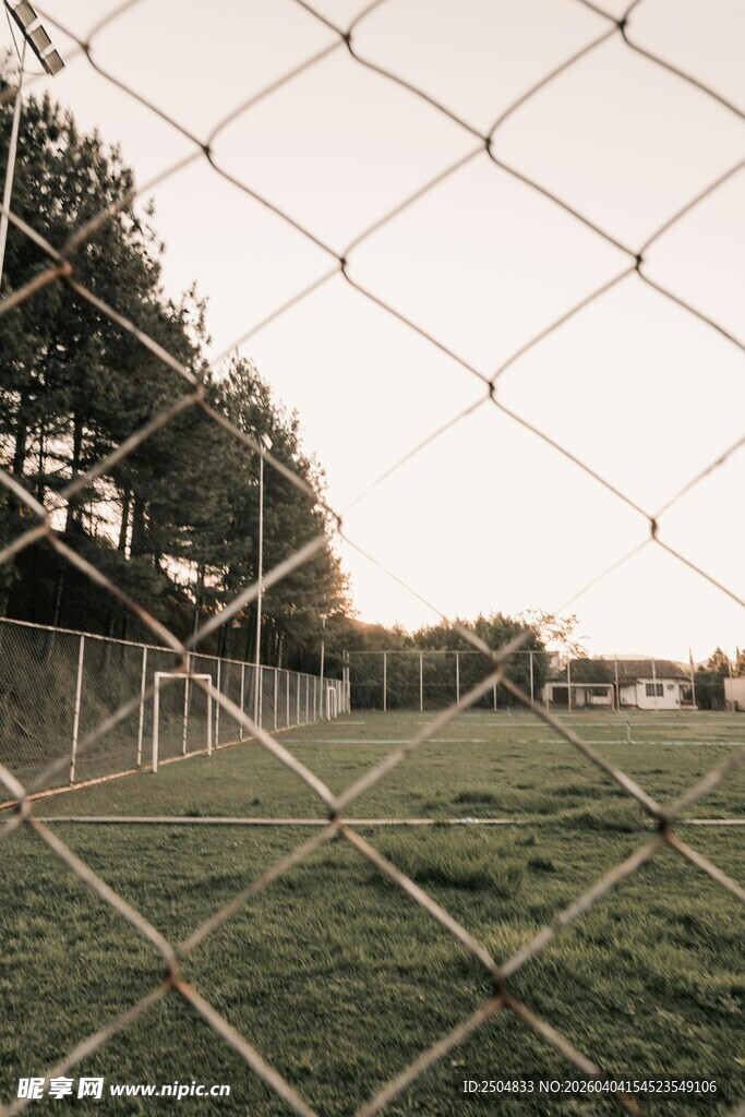 透过铁丝网看户外绿地