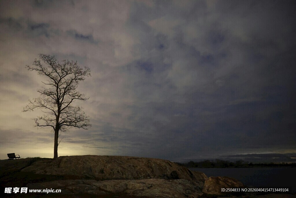 孤树临岸 阴云笼罩之景