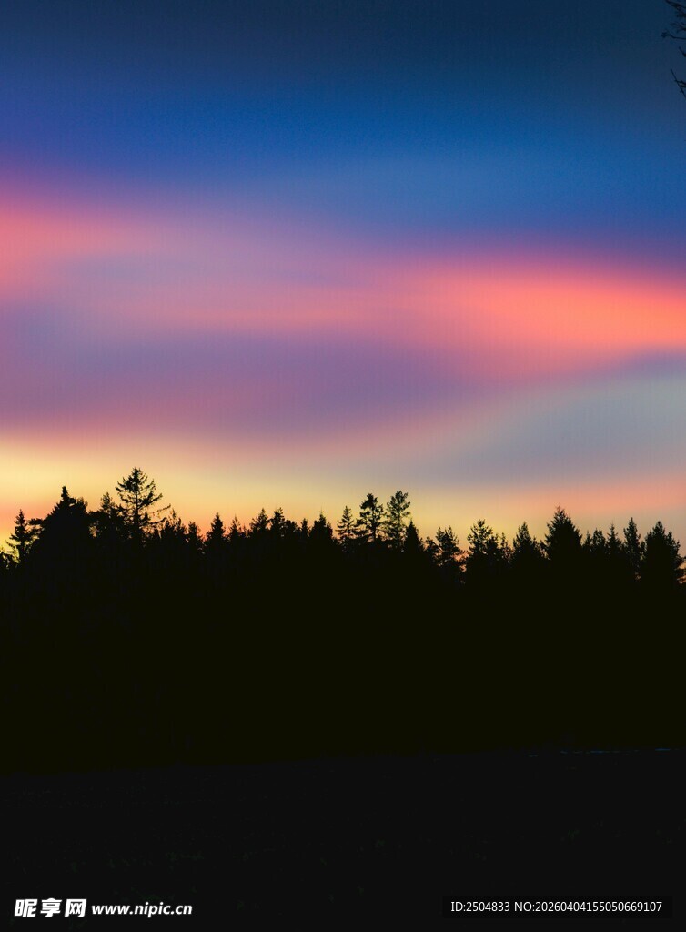 黄昏时分的森林天际线