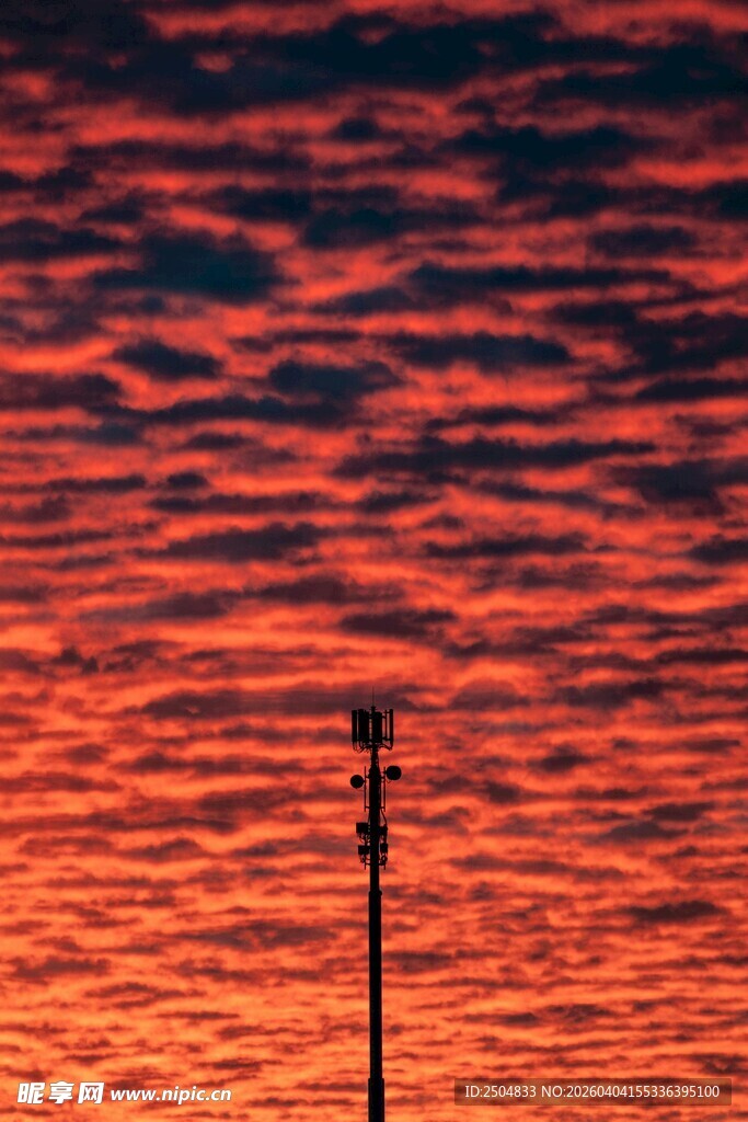 夕阳下的路灯剪影