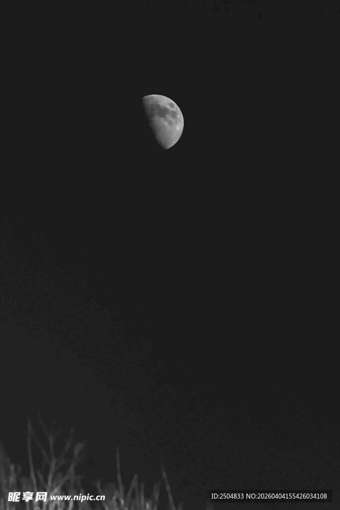 夜空下的弯月与草地