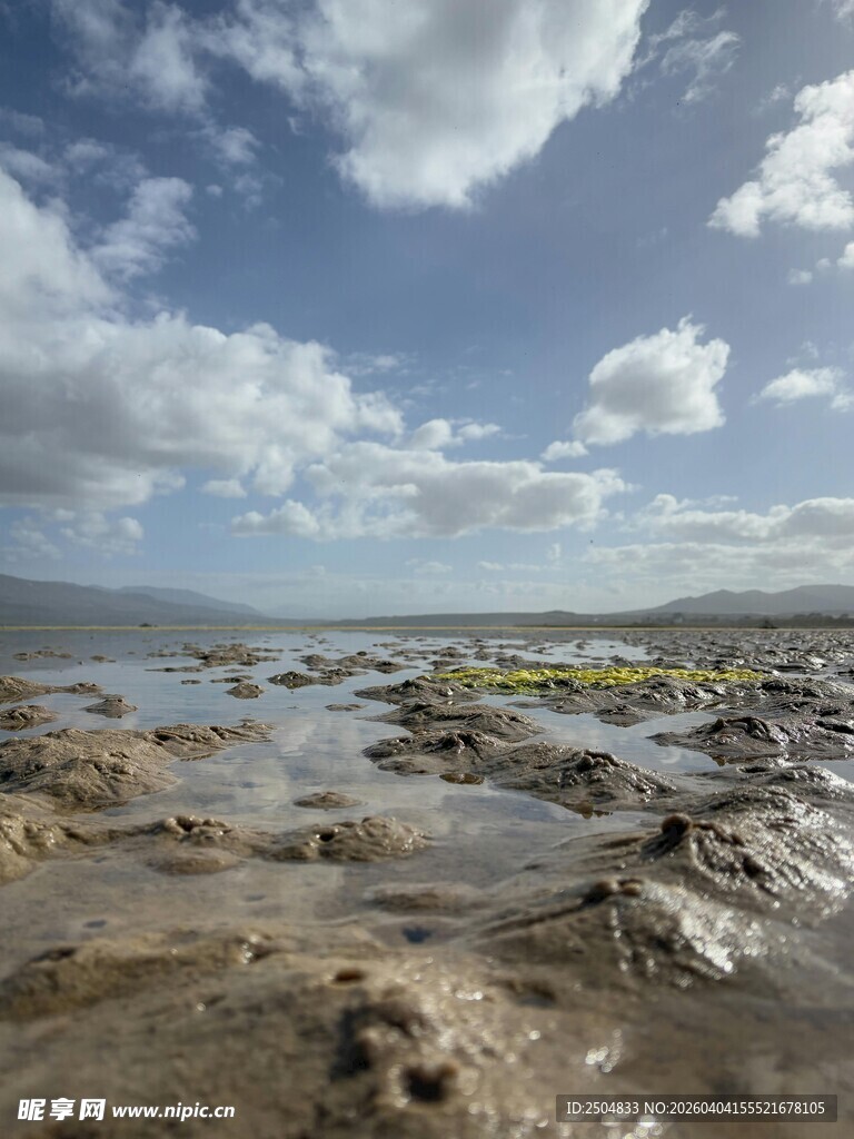 海边滩涂景观