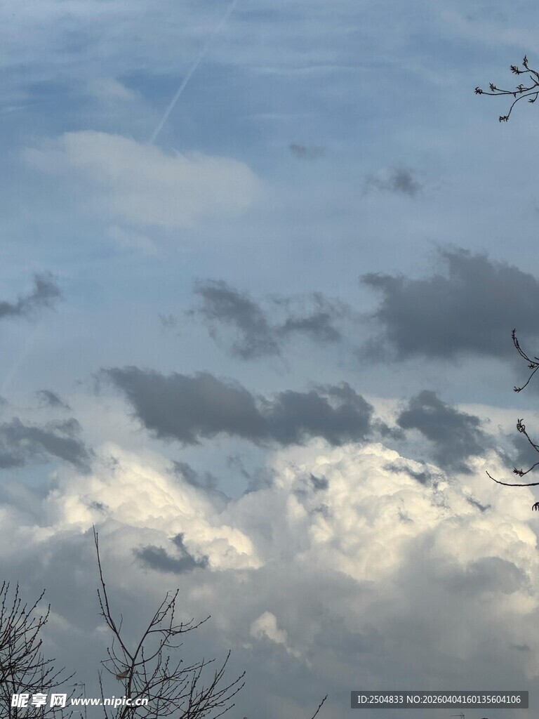 天空中的云景与树枝