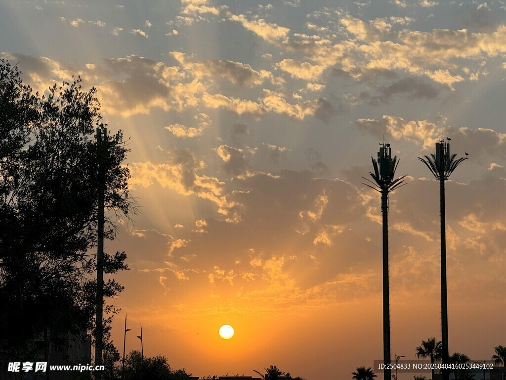 夕阳下的树木与天空美景