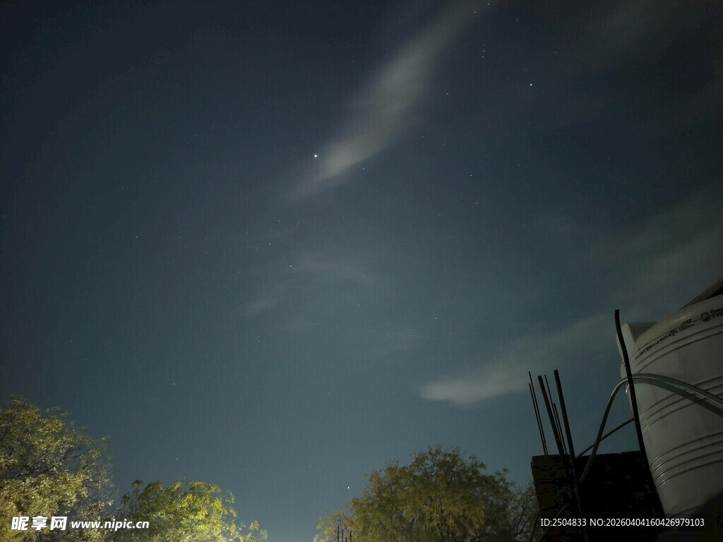 夜空下的树木与建筑轮廓