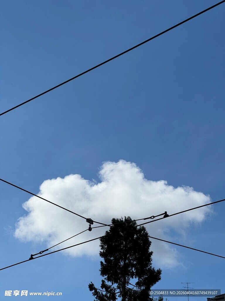 蓝天电线间的云朵与树