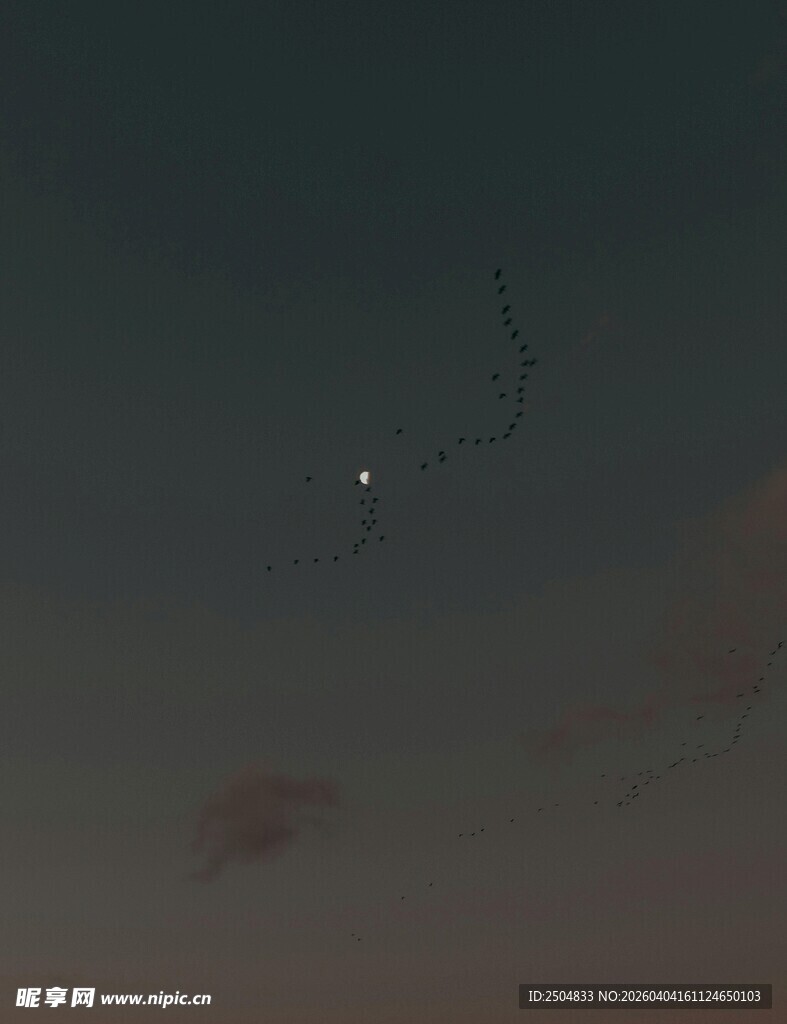 夜空中的神秘飞行物