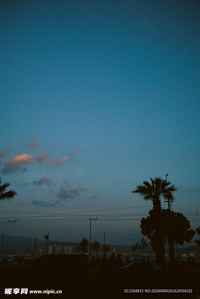 黄昏下的棕榈树与天边云彩