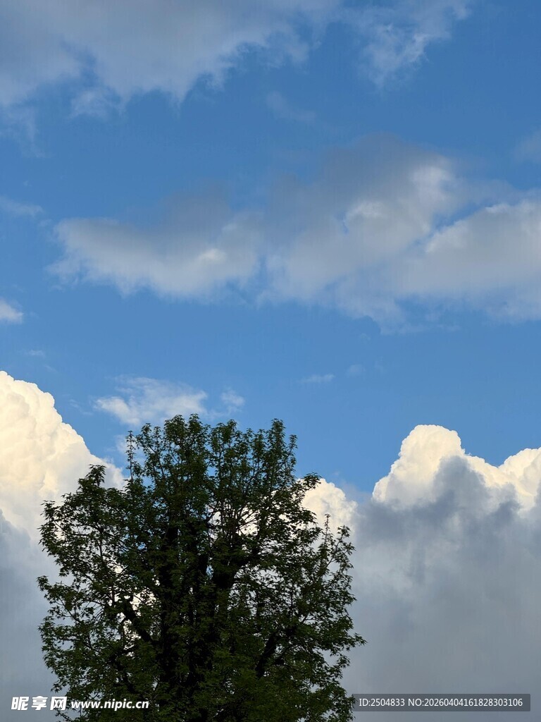 蓝天绿树间的云朵美景