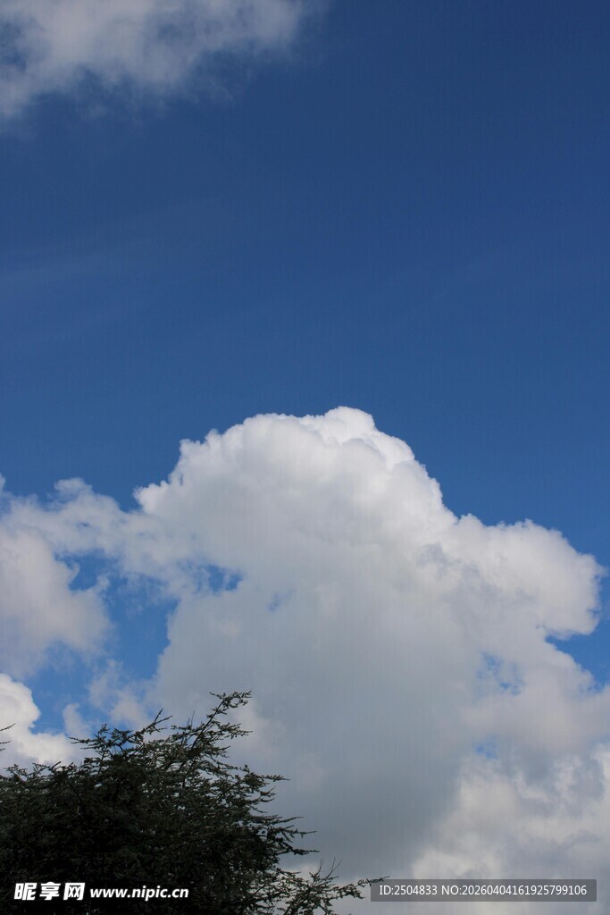 蓝天下的蓬松白云