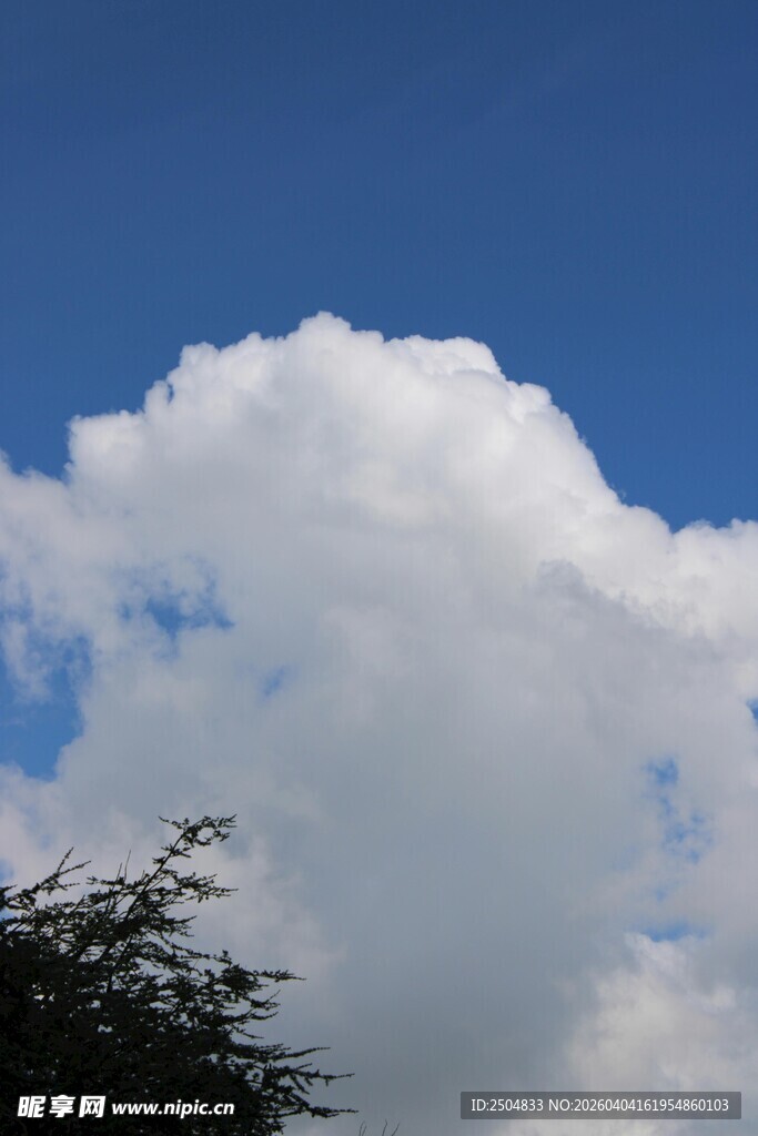 蓝天下的蓬松白云