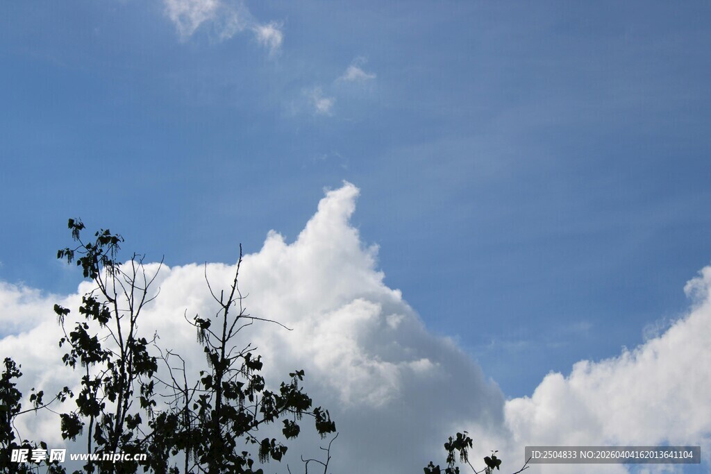 蓝天绿树间的白云飘荡