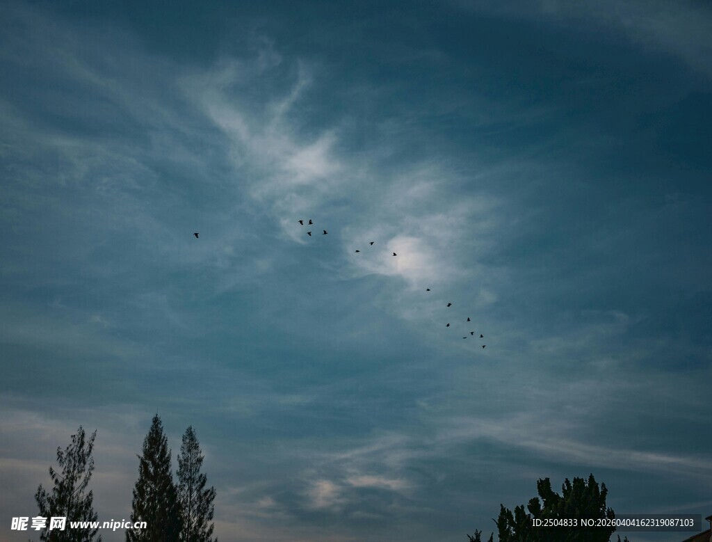 傍晚天空与树木的美丽景致